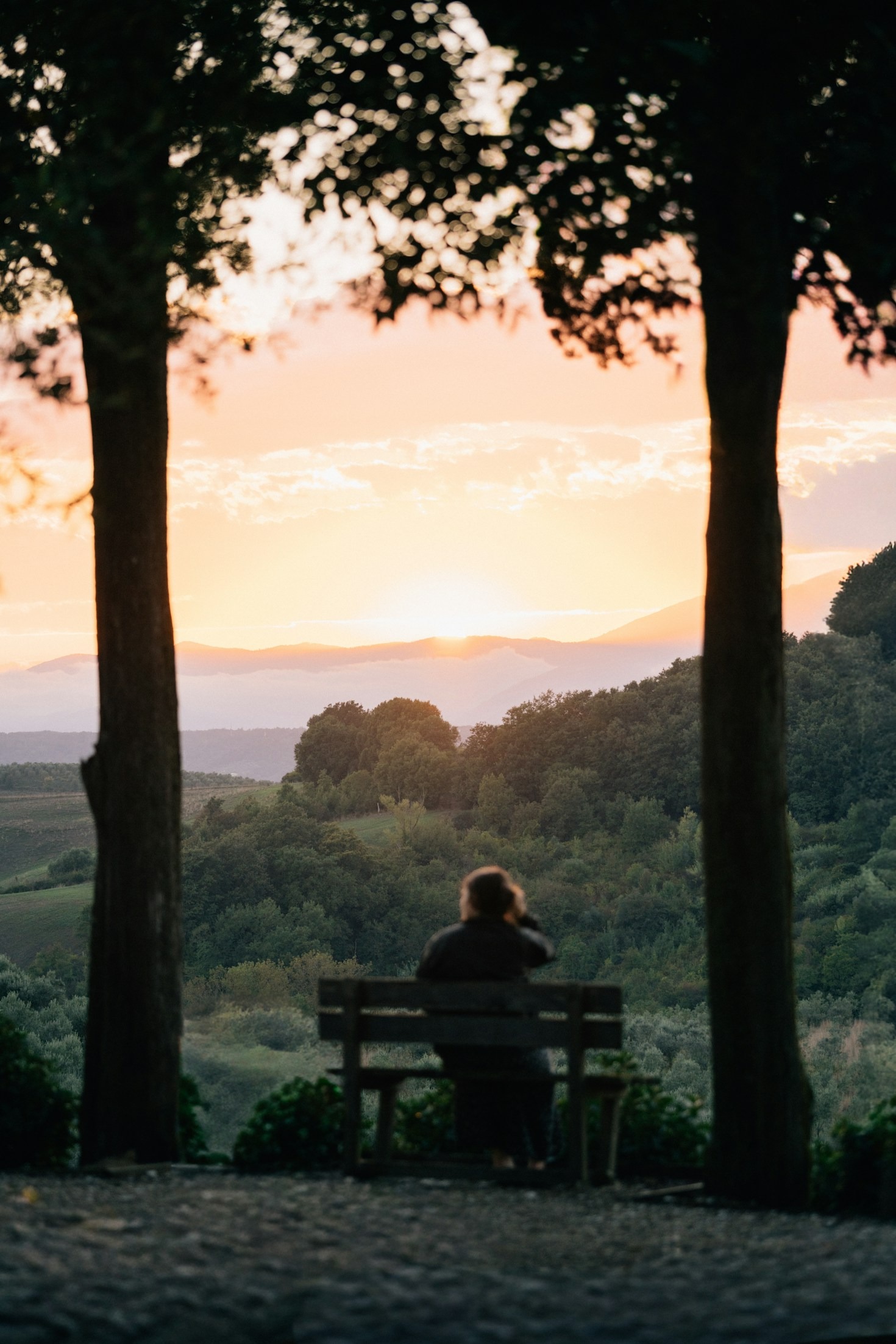 Leaving the Garden: Why Old Survival Strategies Are Failing
